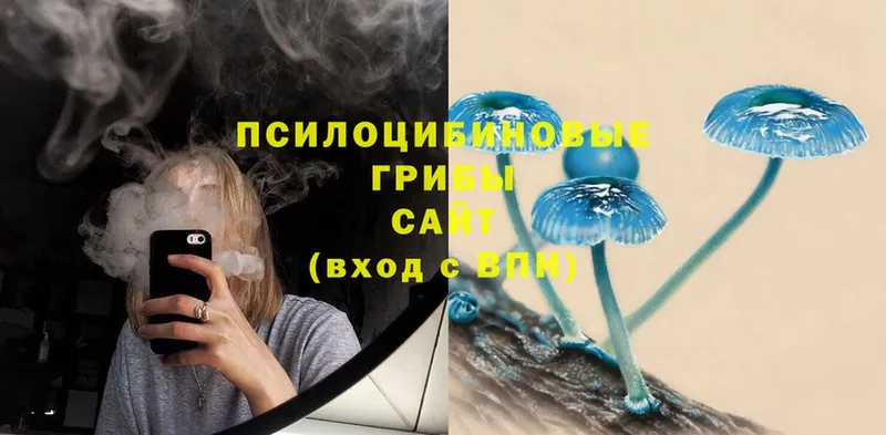 Псилоцибиновые грибы Magic Shrooms  Губаха 